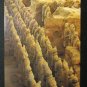 12pcs Postcard Qin Empire Terracotta warrior and horse china