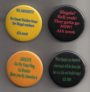 Anti Illegal Immigration Button/Pinback Set