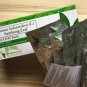 Sambong Re-Leaf Forte Tea x120 Capsules 500mg Blumea Balsamifera (L) Herbal