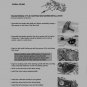 150cc GY6 QMB/QMJ 150 Chinese Service Repair Manual SYM CPI Hyosung Sanli Verucci Benzhou Roketa