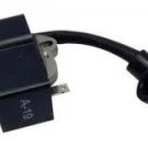 IGNITION MODULE COIL HOMELITE 300953001, ps06156 FITS +