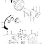 2 STARTER PAWL Springs MCCULLOCH 66351 SP 125C, 105, +