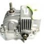 Hydraulic Pump # 794788 Peerless Tecumseh Craftsman Hydro Module LH fender contr