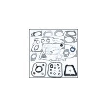 NEW Briggs & Stratton 808704 Engine Overhaul Refresh Gasket Set Kit w/ Oil Seals