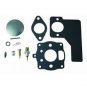 Briggs & Stratton 391071 Carburetor Overhaul Rebuild Repair Kit Genuine OEM part