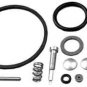 OEM Carburetor Overhaul Kit Briggs & Stratton 494349
