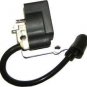 IGNITION MODULE 25cc HOMELITE TRIMMER BLOWER 308064001