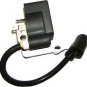 part 850080001 ignition module homelite blower trimmer