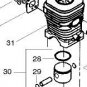 Piston & Cylinder Kit 530012552 530069719 gasket Set Poulan, Craftsman chainsaw
