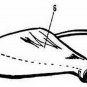 218660 MC-9279-320101 LEAF BAG MCCULLOCH Craftsman MTD BLOWER VAC