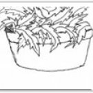 Bowl of Weed