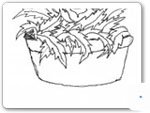 Bowl of Weed