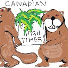 Beavers