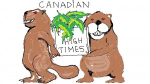 Beavers