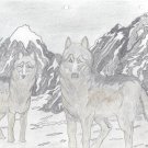 Wolves