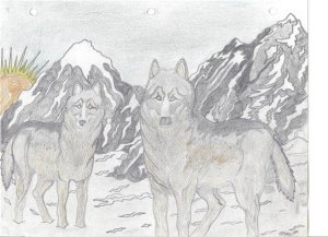Wolves
