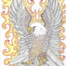 Smokin Eagle