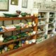 Pottery