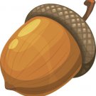 The biggest acorn