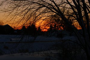Evening Sunset