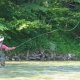 Fly Casting