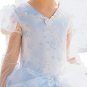 New Disney Cinderella Deluxe Wedding Dress Costume, Size S - Free Shipping on this item!