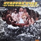 "At Your Birthday Party [Vinyl]
