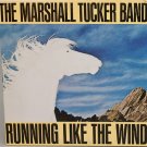 "Running Like the Wind [Vinyl]