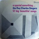 "A Special Something 12 Big Beautiful Songs