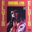 "Burning Love And Hits From His Movies Vol. 2 [Vinyl]