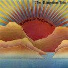 "Looking For The Sunshine [Vinyl]