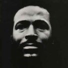 "Vulnerable [Audio CD]