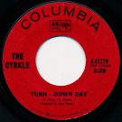"Turn - Down Day / Big Little Woman [Vinyl]