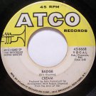 "Badge / What A Bringdown [Vinyl]