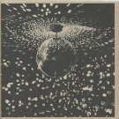"Mirror Ball [Audio CD]