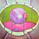 "Beyond The End... Eternity [Vinyl]