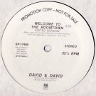 Welcome To The Boomtown [Vinyl]