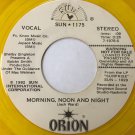 Honky Tonk Heaven / Morning Noon And Night [Vinyl]