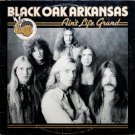 Ain't Life Grand [Vinyl]