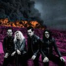 Dodge And Burn [Audio CD] The Dead Weather