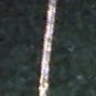 Small Oval Sterling Silver St. Christopher