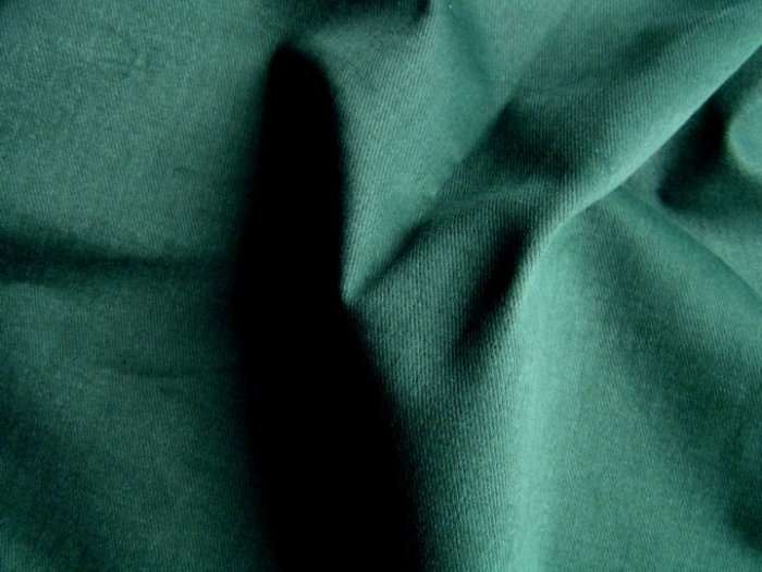 Forest Green Twill Dress Pants main image 1