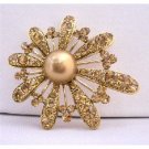 B284  Bronze Smoked Topaz Topaz Encrusted Brooch Adorable Gold Fan Flower Petals Brooch