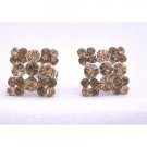 ERC467  Smoked Topaz Crystals Light & Dark Earrings