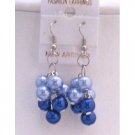U226  Pearls Grape Bunches Earrings Lite & Dark Blue Combo Pearls Earrings