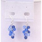 ERC564  Sapphire Crystals Jewelry Sapphire Light & Dark Tricolor Grape Bunch Earrings