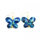 D202  Girls Birthday Return Gift Blue Shaded White Butterfly Earrings