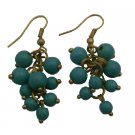 UER478  Turquoise Cluster Earrings Express The Flavor With Effervescence Earrings