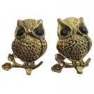 Beautiful Engraved Antique Gold Owl Earrings