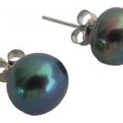 Elegant Shell Pearl Stud Earrings Tahitian Pearls